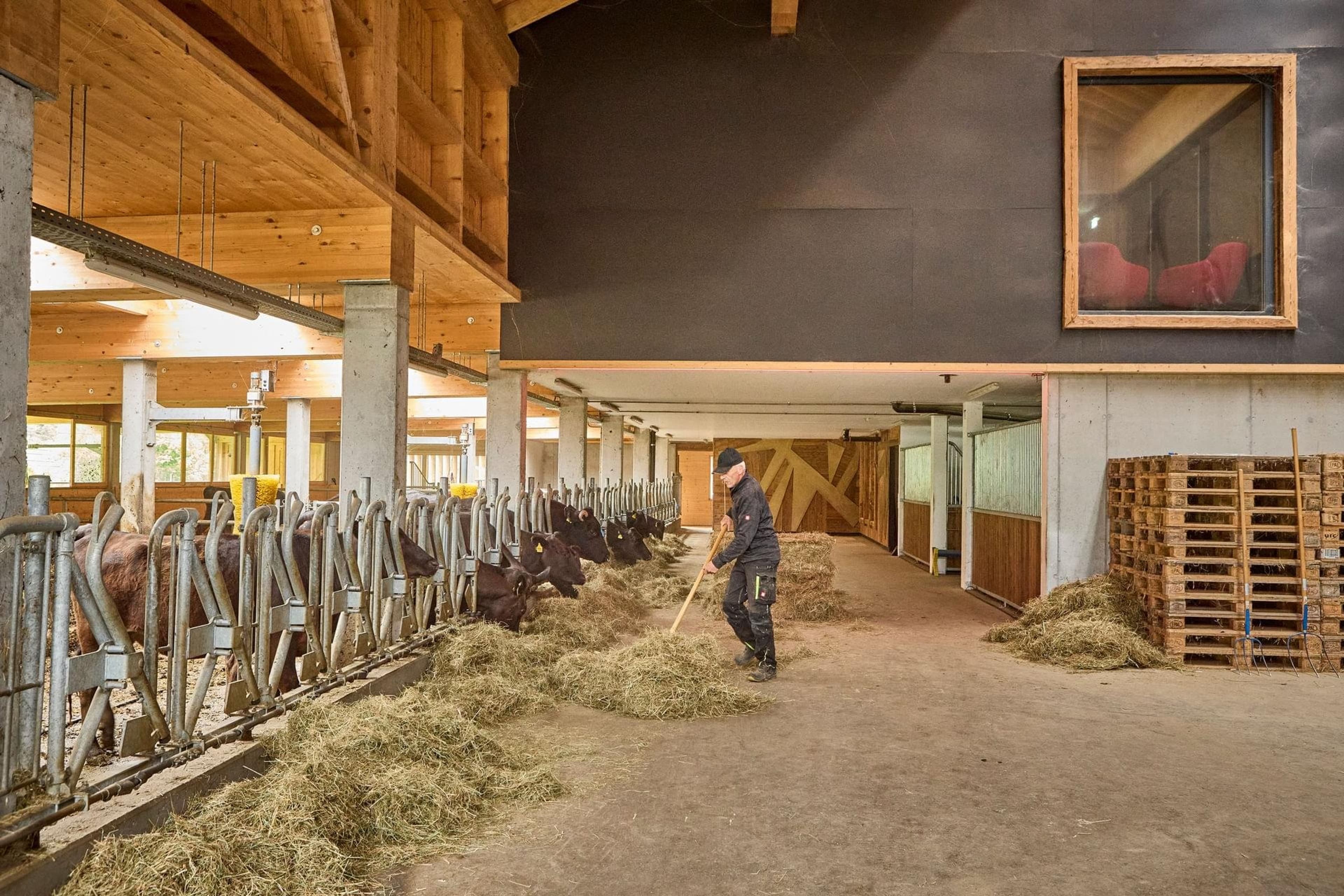 Bocks Apartments 53C - Top 3 Birke - Image 4